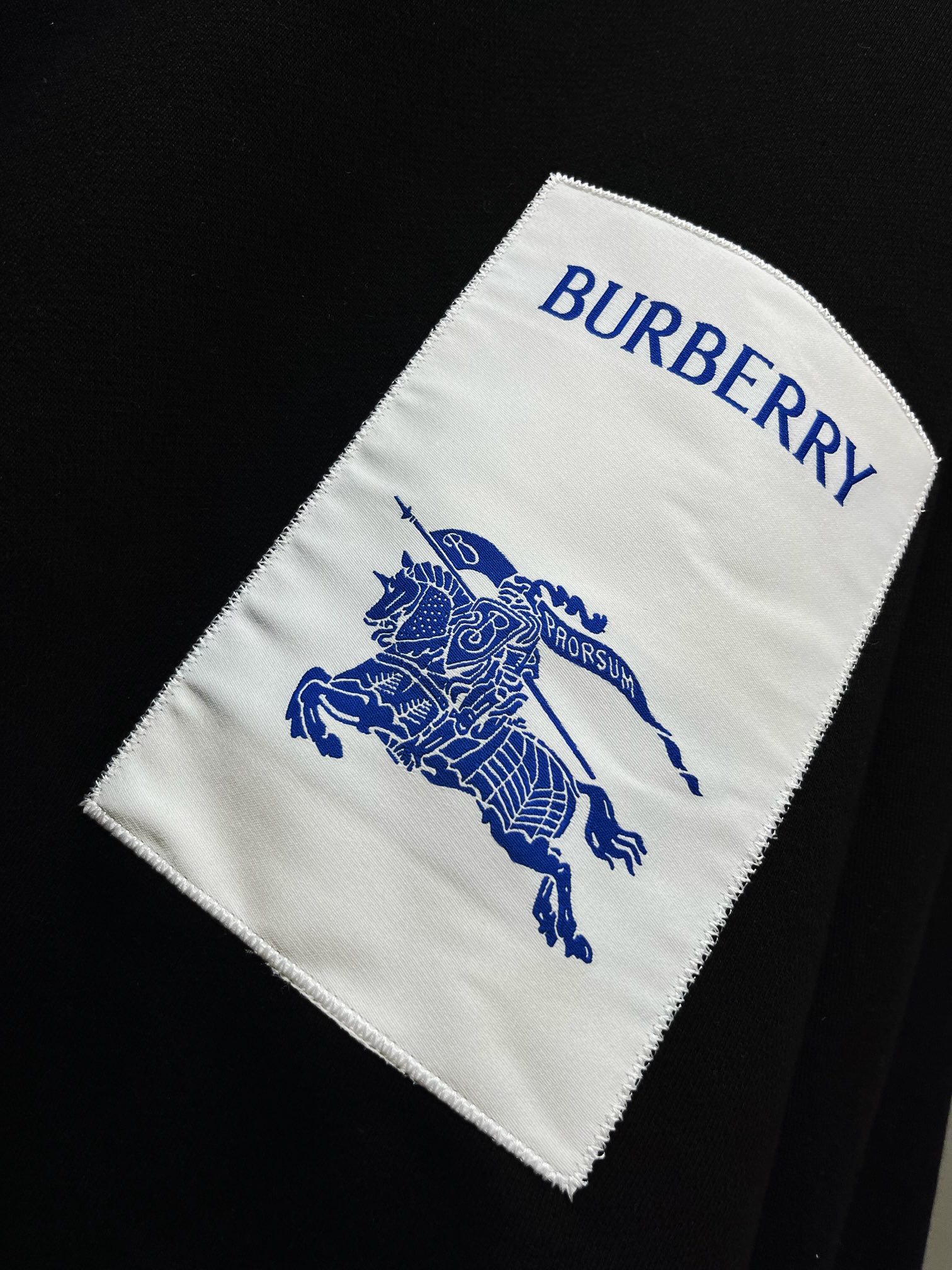 Burberry Hoodies